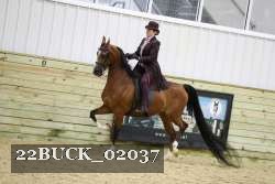 22BUCK_02037 proof