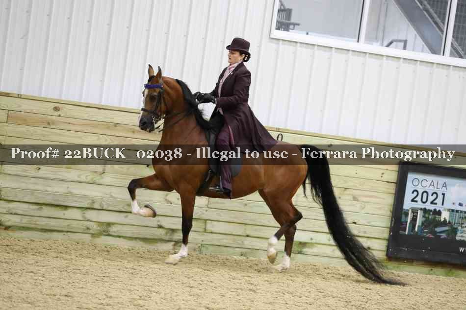 Proof 22BUCK_02038