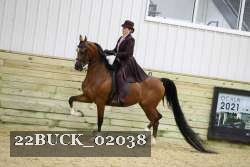 22BUCK_02038 proof