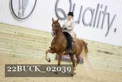 22BUCK_02039 proof