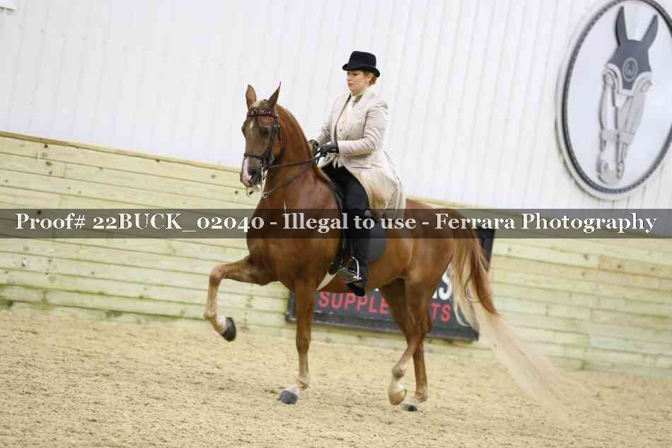 Proof 22BUCK_02040