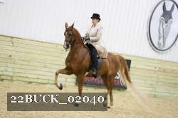 22BUCK_02040 proof