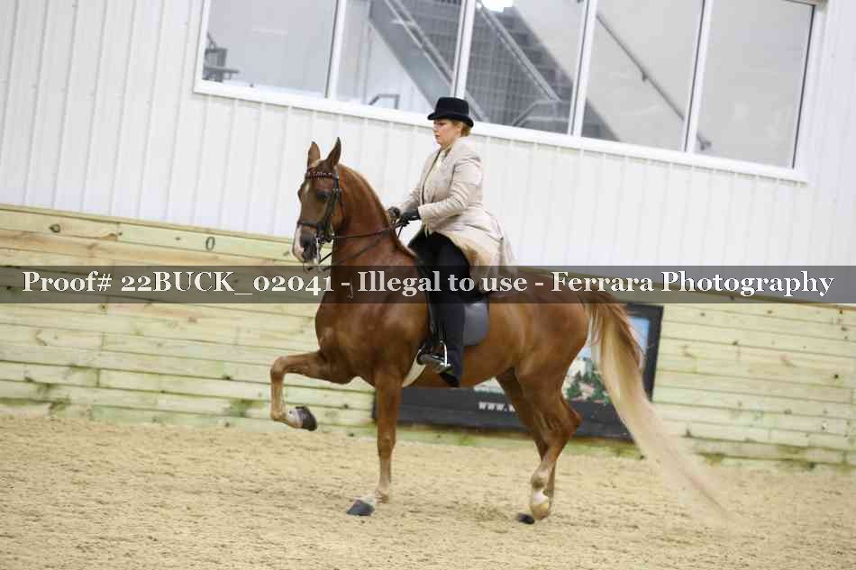 Proof 22BUCK_02041