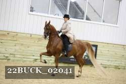 22BUCK_02041 proof