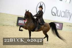 22BUCK_02042 proof