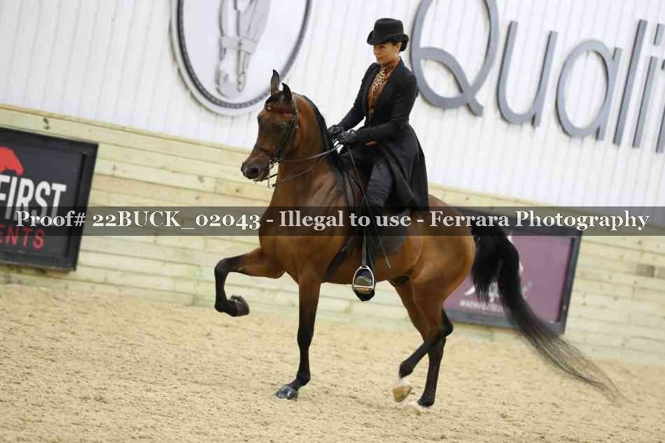 Proof 22BUCK_02043