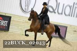 22BUCK_02043 proof