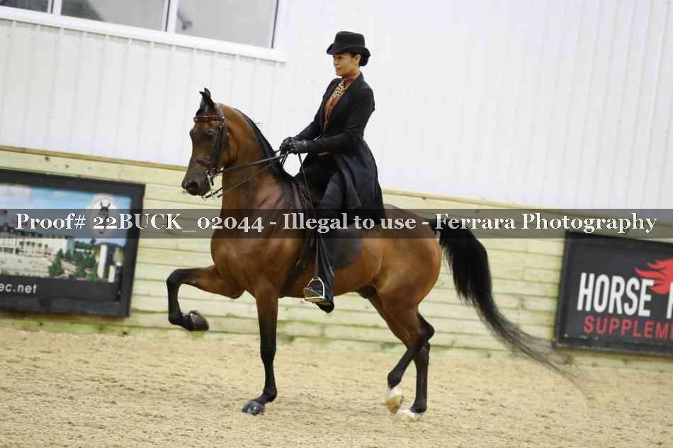 Proof 22BUCK_02044