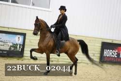 22BUCK_02044 proof