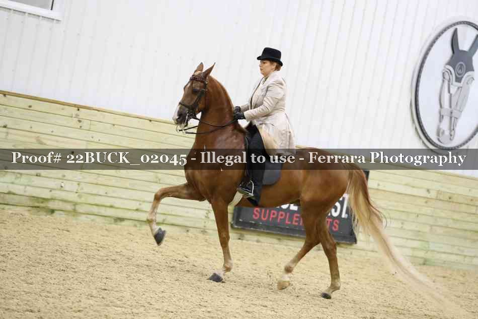Proof 22BUCK_02045