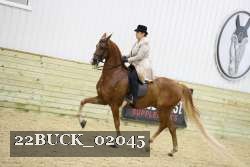 22BUCK_02045 proof
