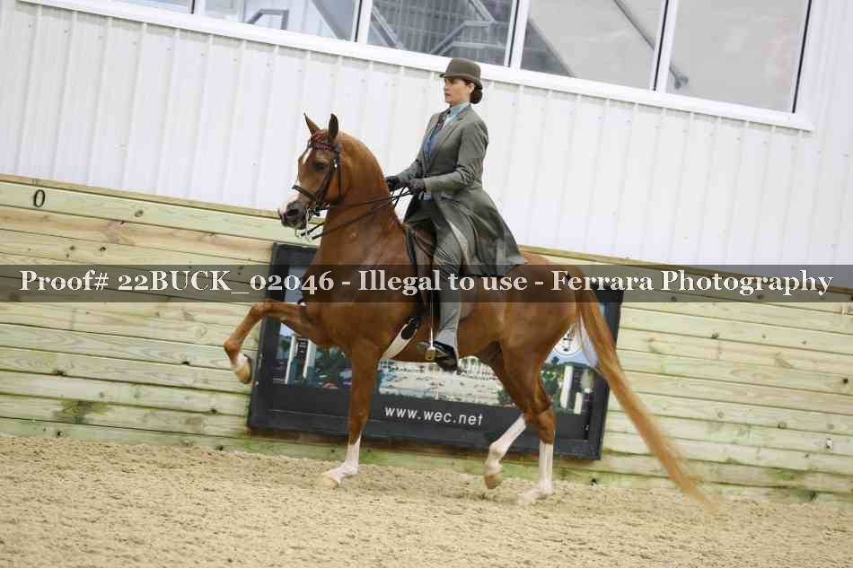 Proof 22BUCK_02046
