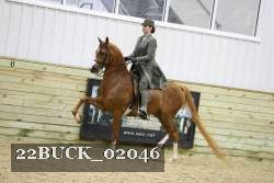 22BUCK_02046 proof
