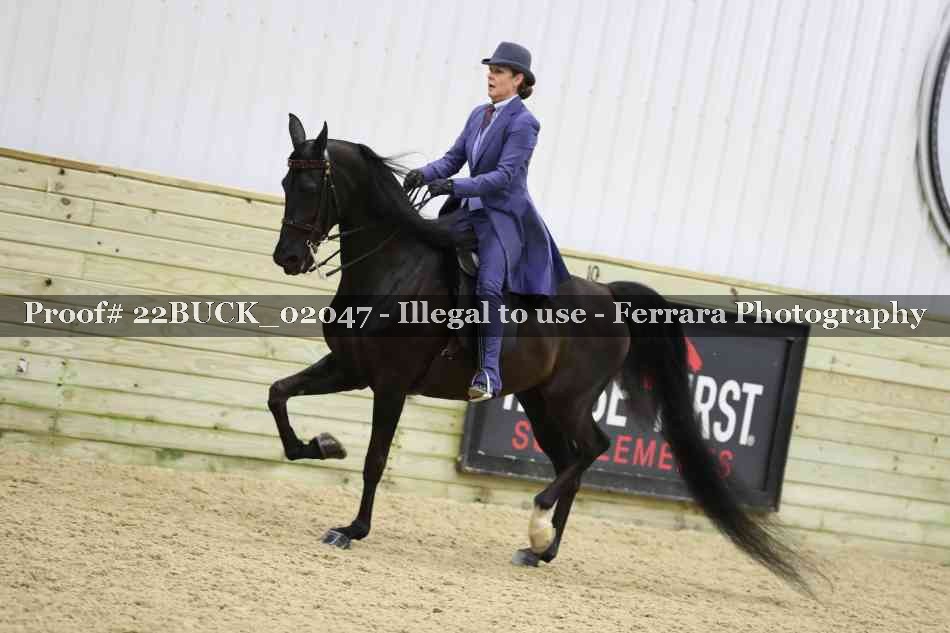 Proof 22BUCK_02047