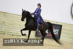22BUCK_02047 proof