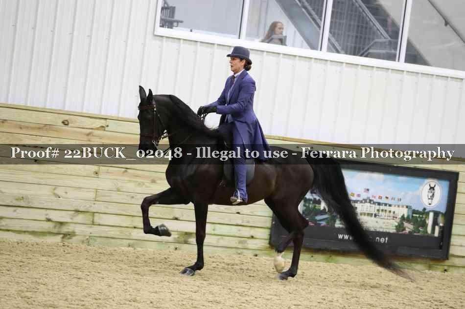 Proof 22BUCK_02048