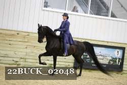 22BUCK_02048 proof