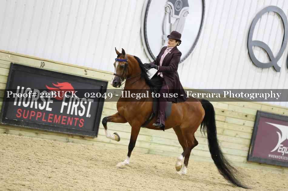 Proof 22BUCK_02049