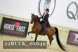 22BUCK_02049 proof
