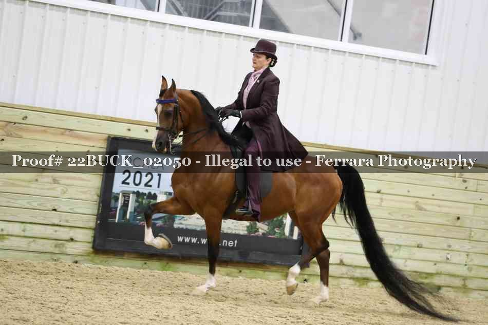 Proof 22BUCK_02050