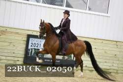 22BUCK_02050 proof