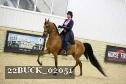 22BUCK_02051 proof