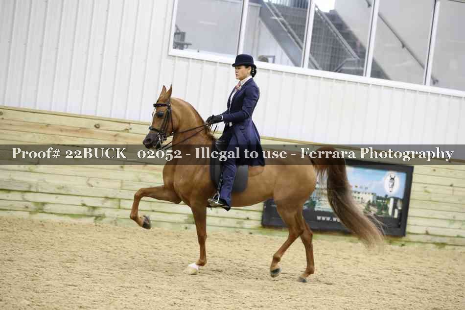 Proof 22BUCK_02052