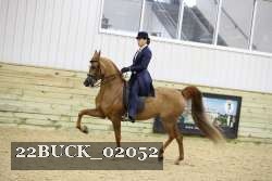 22BUCK_02052 proof
