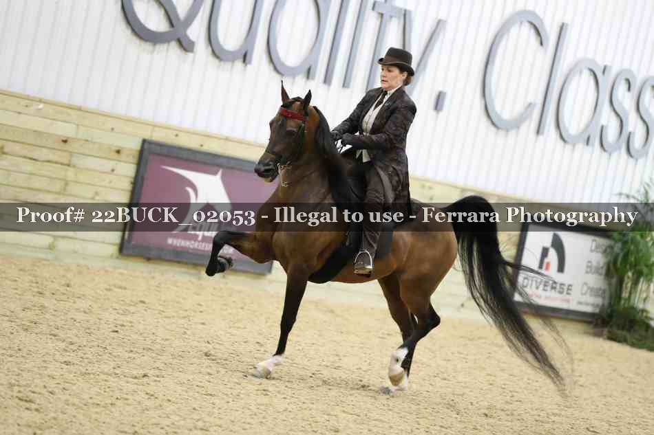 Proof 22BUCK_02053