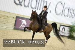 22BUCK_02053 proof