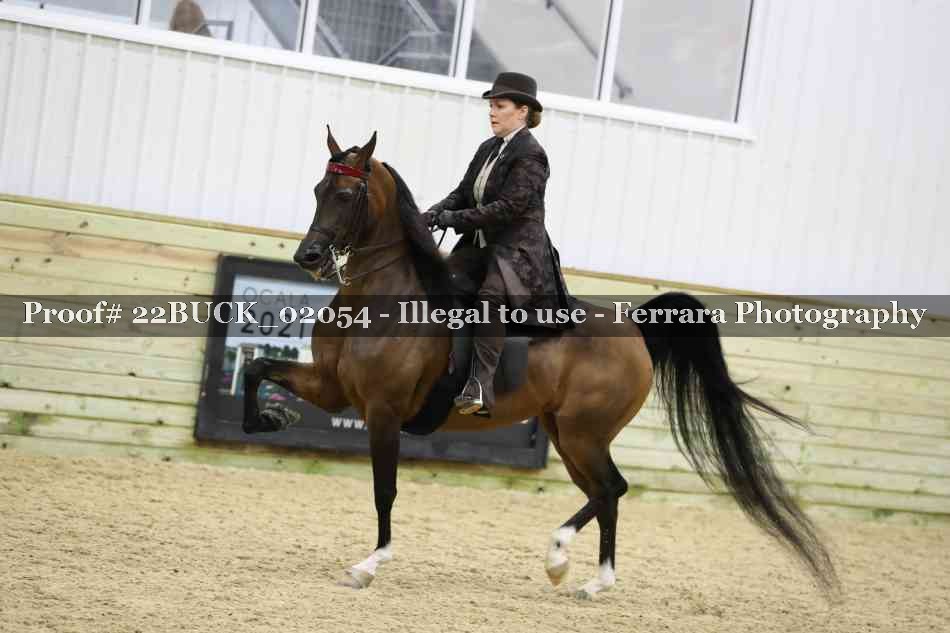 Proof 22BUCK_02054
