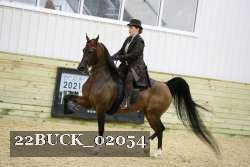 22BUCK_02054 proof