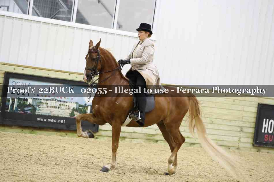 Proof 22BUCK_02055