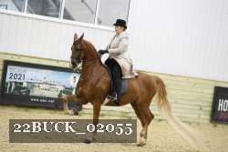 22BUCK_02055 proof