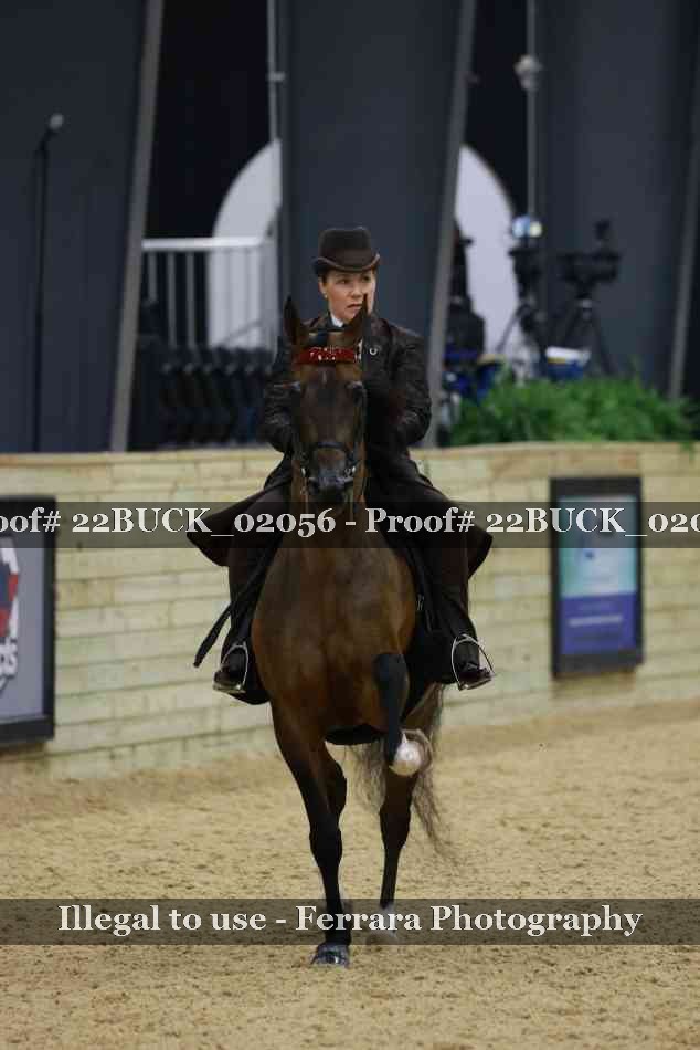 Proof 22BUCK_02056