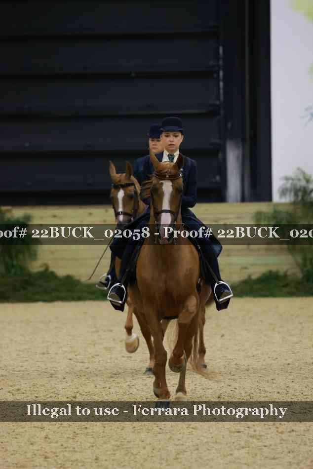 Proof 22BUCK_02058