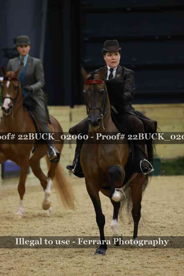 Proof 22BUCK_02060