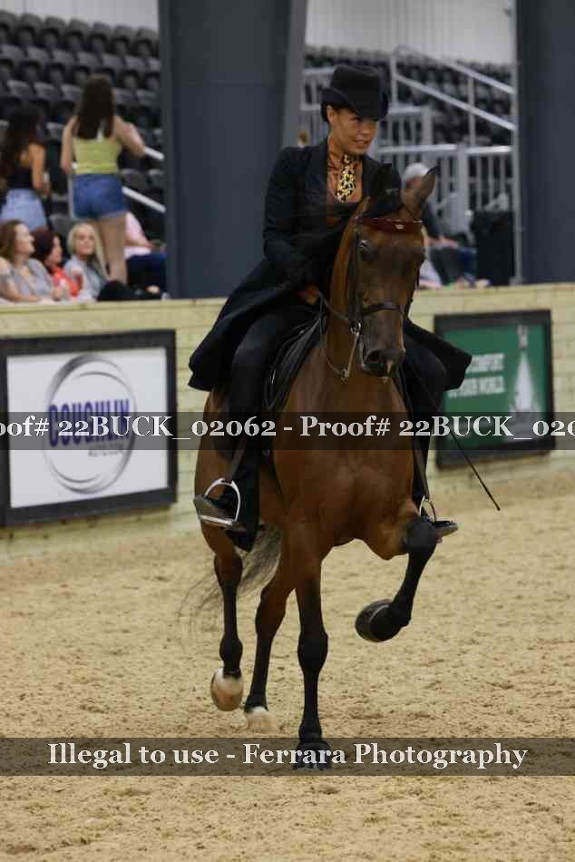 Proof 22BUCK_02062