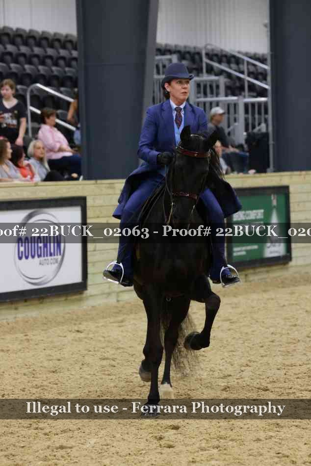 Proof 22BUCK_02063