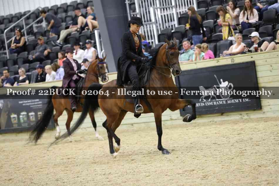 Proof 22BUCK_02064