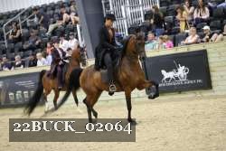 22BUCK_02064 proof