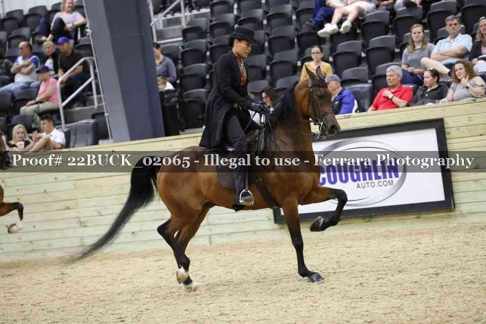 Proof 22BUCK_02065