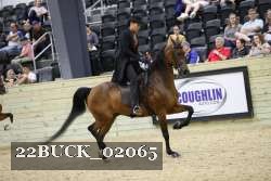 22BUCK_02065 proof