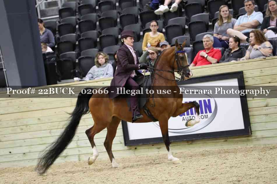 Proof 22BUCK_02066