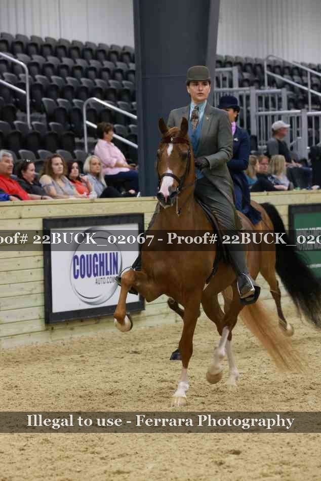 Proof 22BUCK_02067