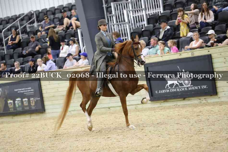 Proof 22BUCK_02068