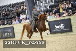 22BUCK_02068 proof