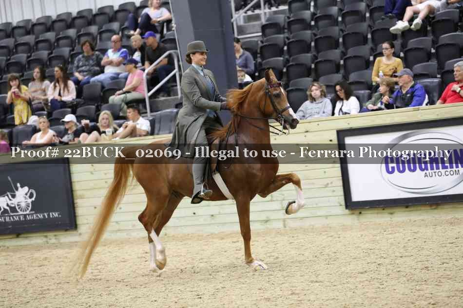 Proof 22BUCK_02069