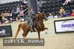 22BUCK_02069 proof