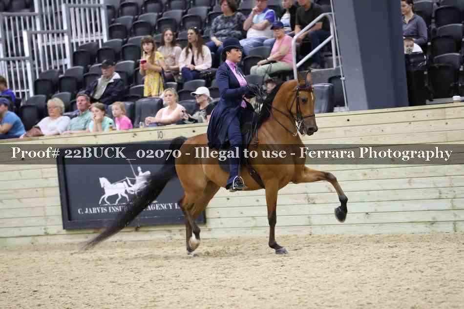 Proof 22BUCK_02070